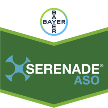 Bayer plus rewards 