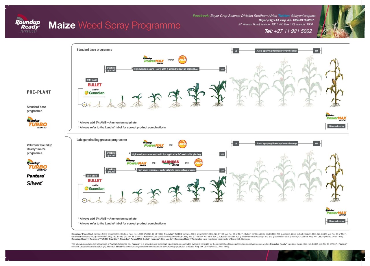 roundup ready maize programme