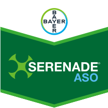 Récompenses Bayer Plus 