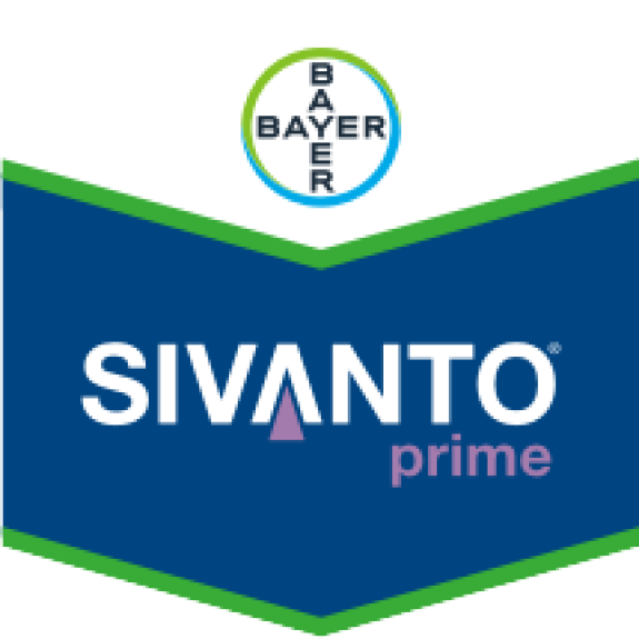 Bayer Crop Science Division Ivory Coast