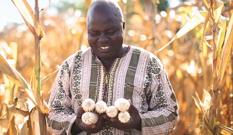 WEMA: Securing the livelihoods of smallholder farmers, one seed at a time