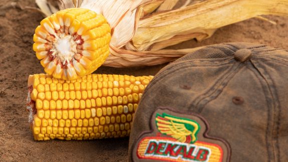The DEKALB advantage