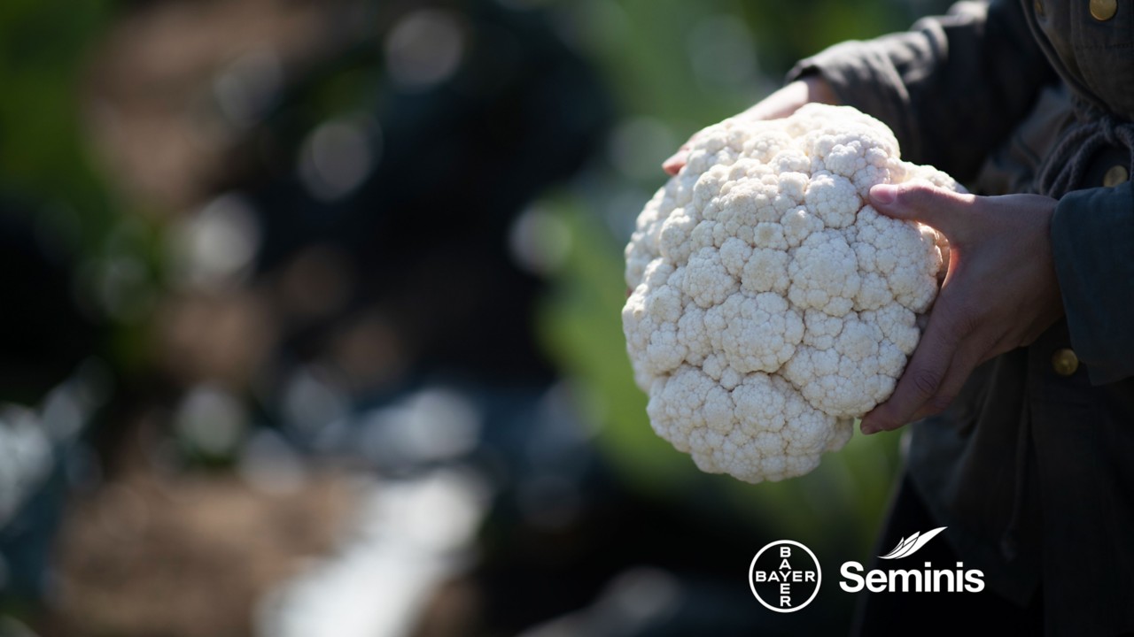 vegetables-by-bayer-seminis