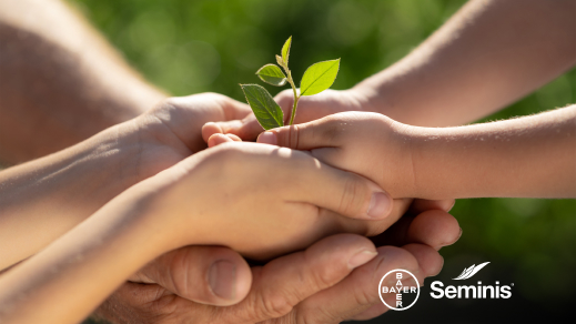 sostenibilidad-seminis