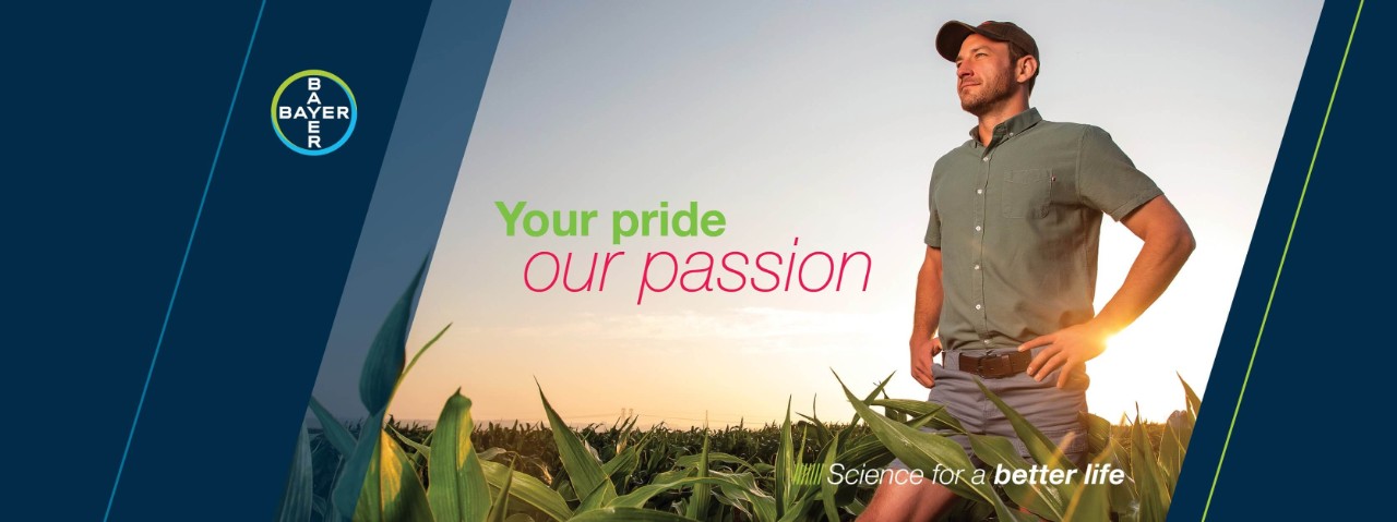 Bayer Crop Science Looking back at 2020