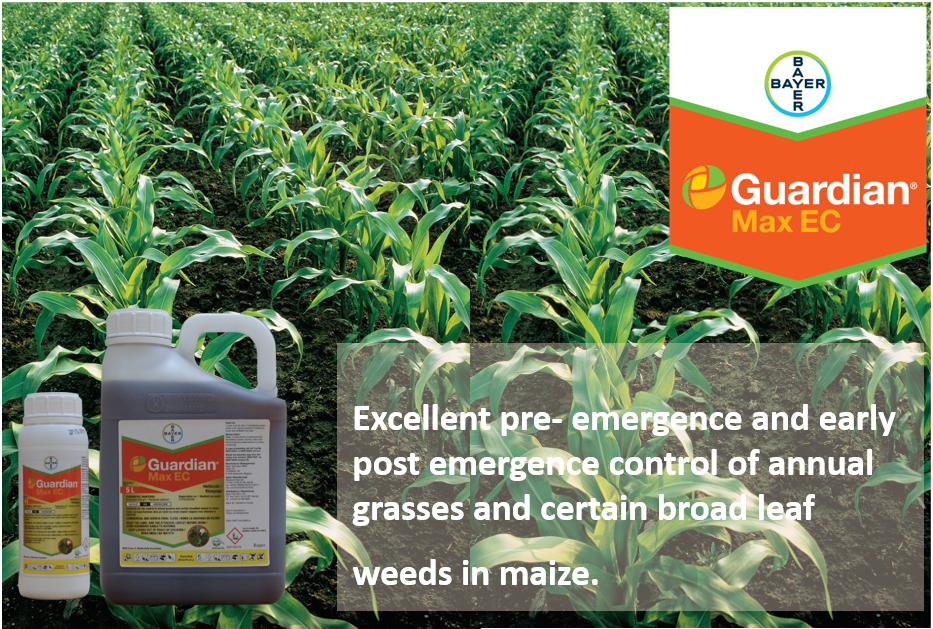 alion product label
