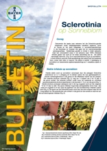 Sclerotinia