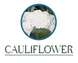 cauliflower