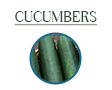 cucumbers