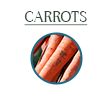 carrots