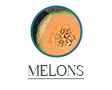 melons