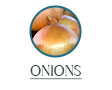 onions