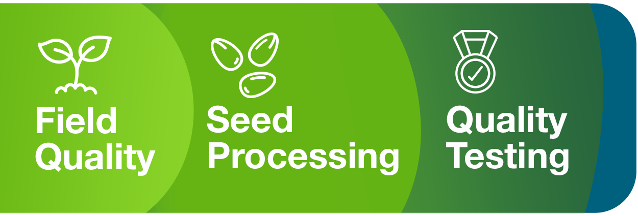 Our holistic approach to seed quality Quality to our core