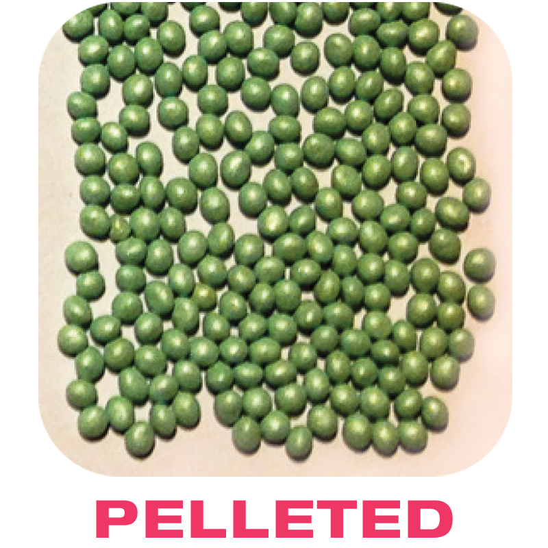 Pelleted Seeds Pelleted Seeds