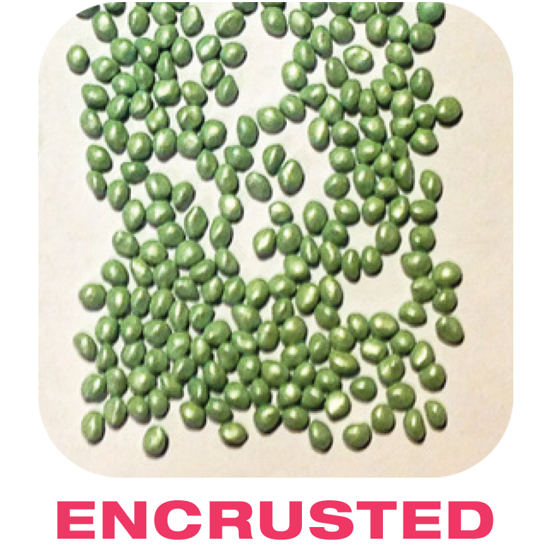Encrusted Seeds Encrusted Seeds