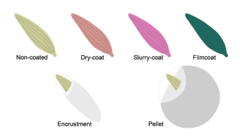 Figure 1. Various seed coating technologies used for lettuce seed.