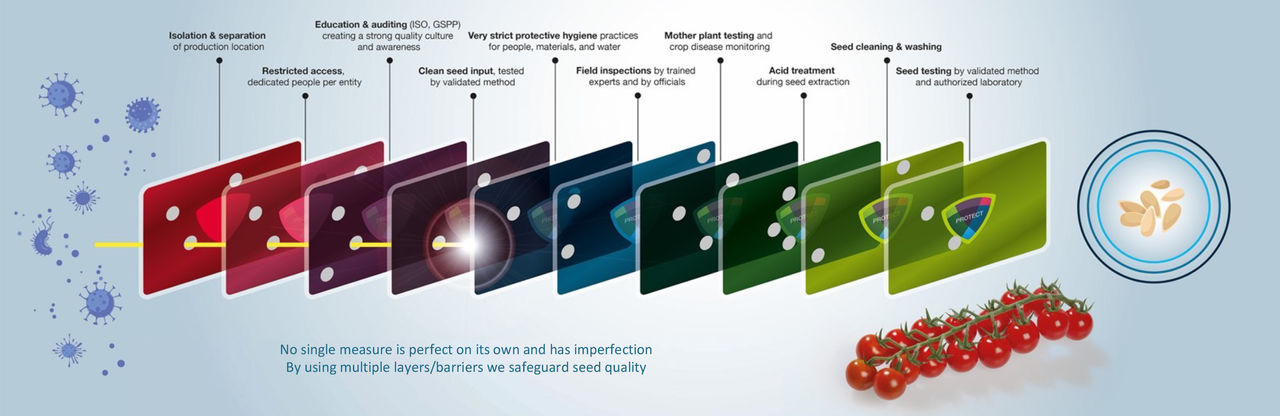 Microsoft PowerPoint - 230202 - Seed Health Infographics.pptx Microsoft PowerPoint - 230202 - Seed Health Infographics.pptx