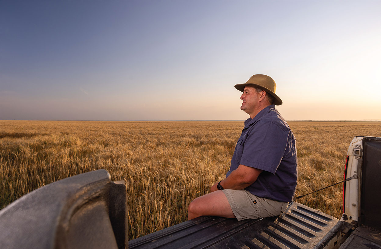 Portrait of farmer controlling corn cob in a maizefield