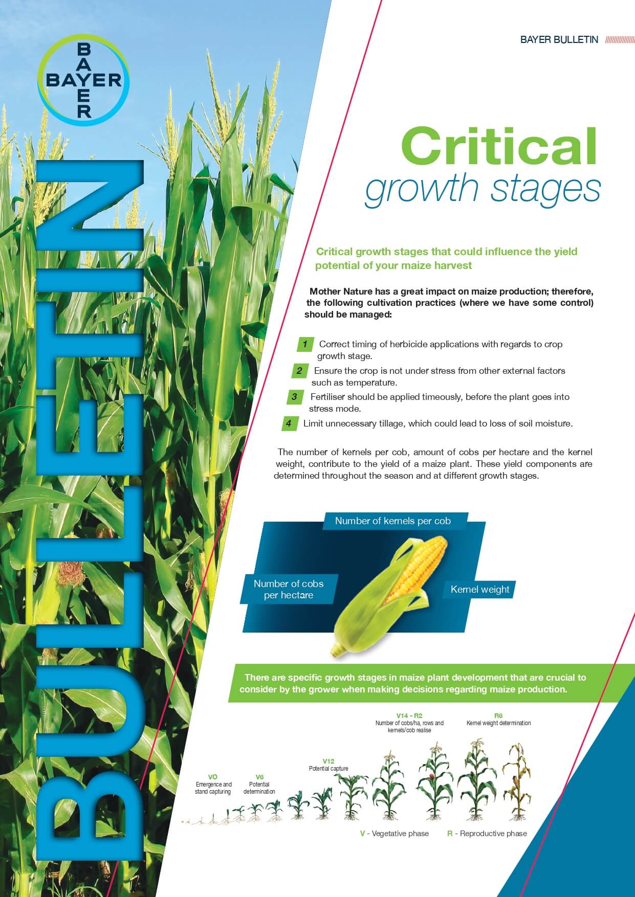 Maize - Critical Growth Stages