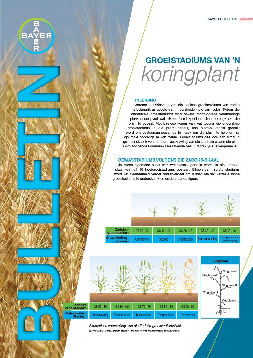 Groeistadiums