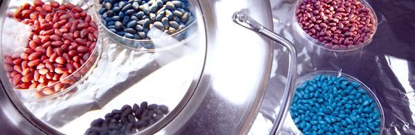seed growth image