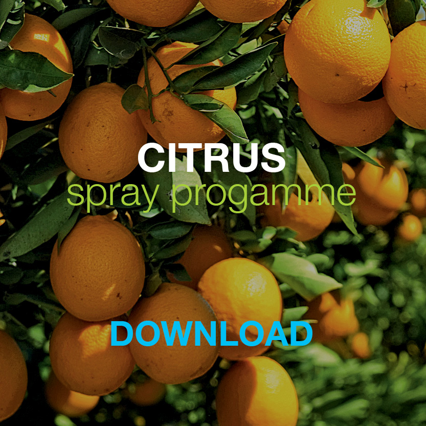 Bayer Citrus Spray Programme