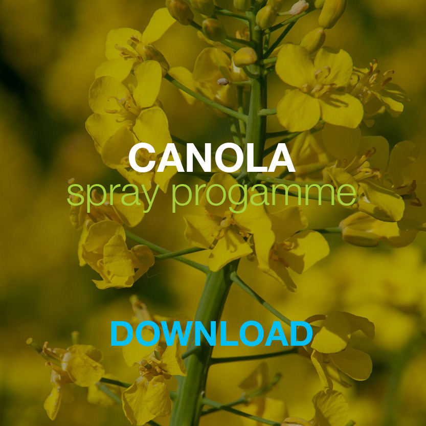 Bayer Canola Spray Programme