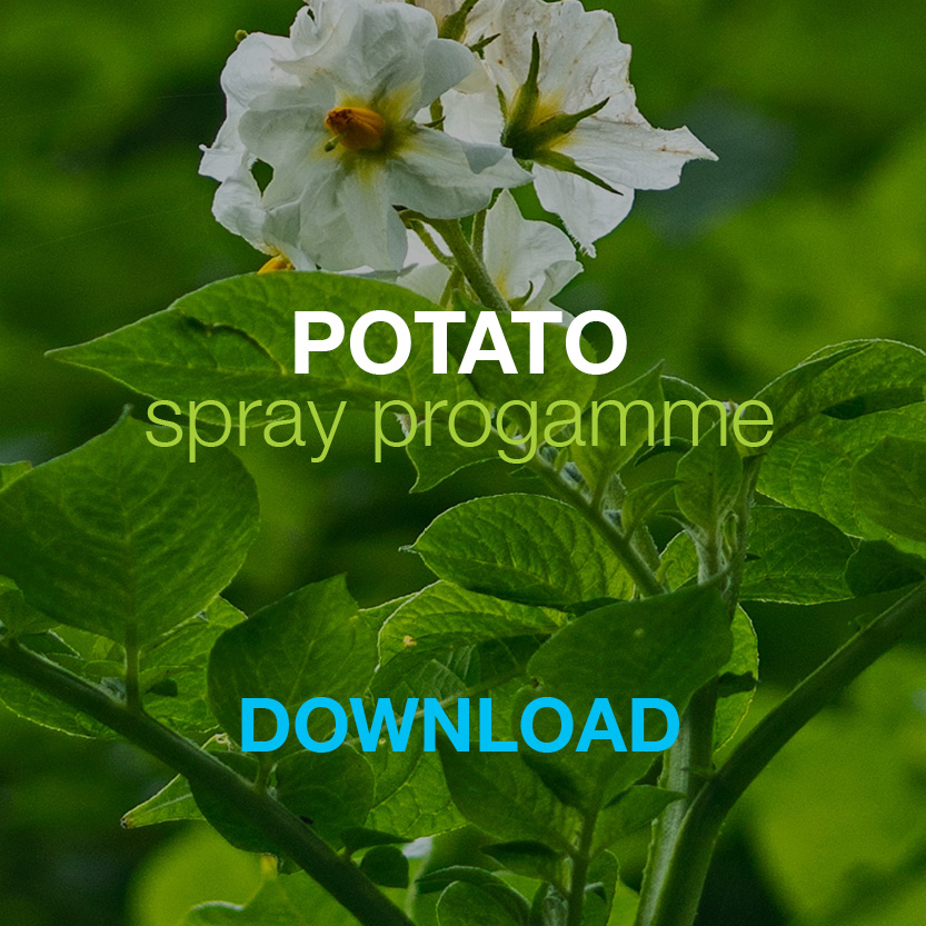 Bayer Potato Spray Programme