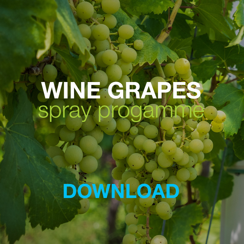 Bayer Wine Grapes Spray Programme