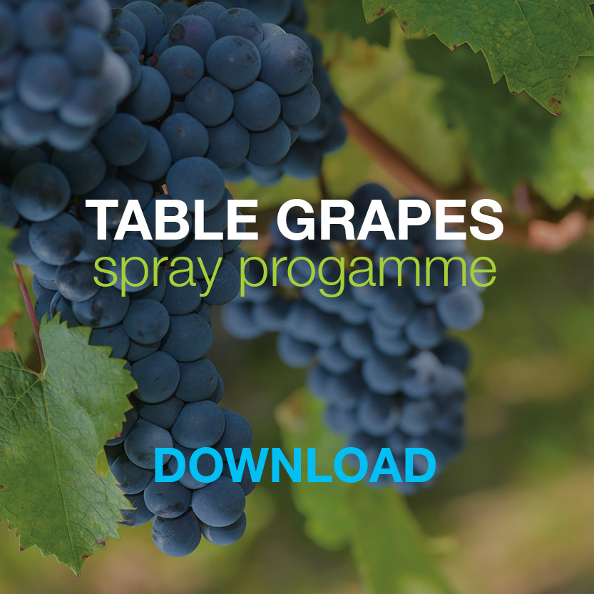 Bayer Table Grapes Spray Programme