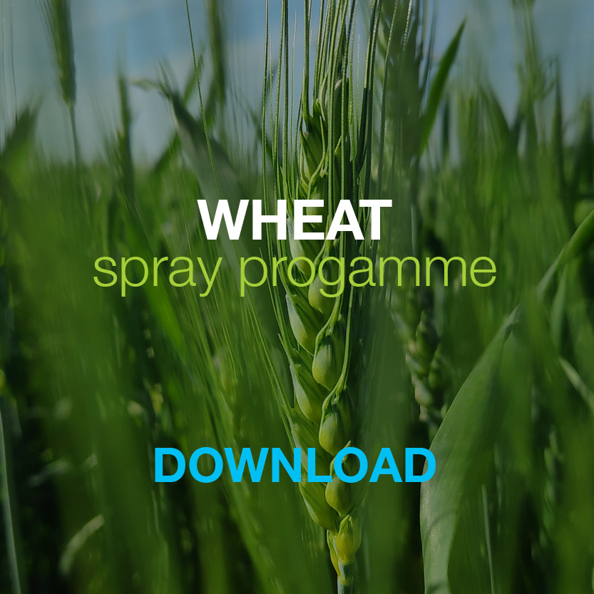 Bayer Wheat Spray Programme